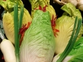 chinese-cabbage-65773_1280