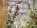 Podzimní zahrada s maxijezírkem IMG_0005