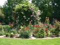 Anglická zahrada na Hané IMG_0004
