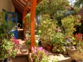 Jihočeská zahrada ve stylu Provence IMG_0128