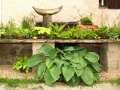 Rostliny v nádobách – letní výzdoba zahrady IMG_0967