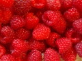 raspberries-227976_1280