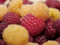 raspberries-796484_1280