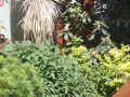 Zahrada s cihlovou zídkou IMG_3523