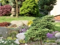 Skalky i jezírka na jedné zahradě IMG_2042