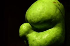 Screenshot_2020-12-07-pear-fruit-crippled-misshapen-head-old-kautz-green-gnarled-man-freak-Pikist