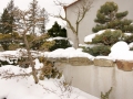japonská zahrada v zimě (17)