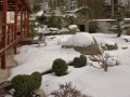 japonská zahrada v zimě (18)