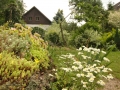 Pitoreskní zahrada na Vysočině IMG_9796